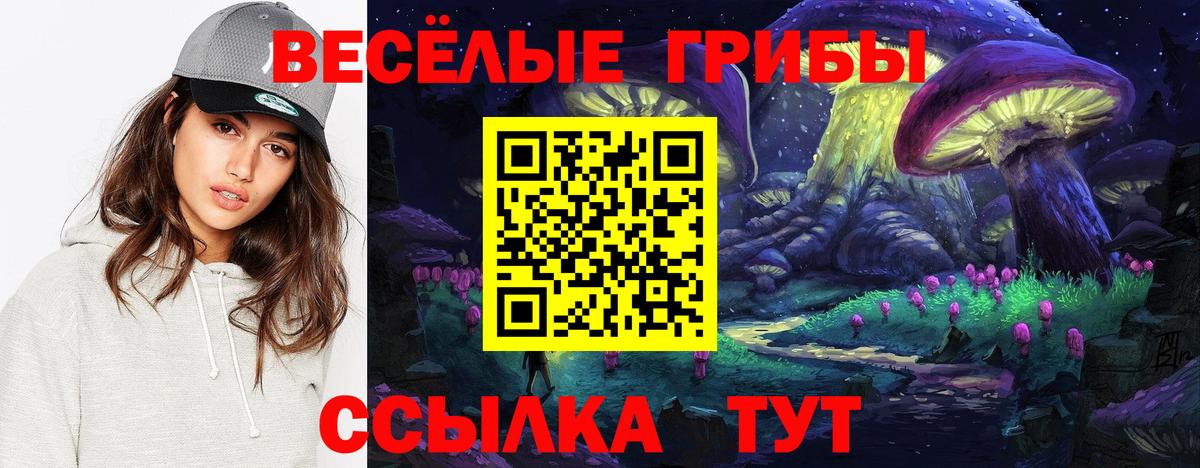 Псилоцибиновые грибы Psilocybe Карталы